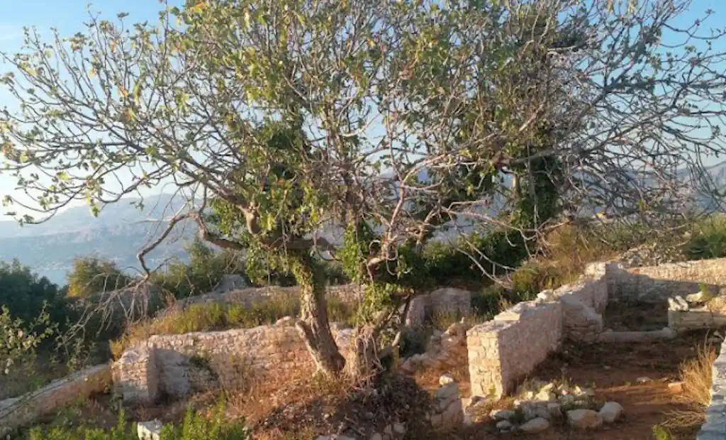 Mirje: Skriveni dragulj antičke prošlosti otoka Brača