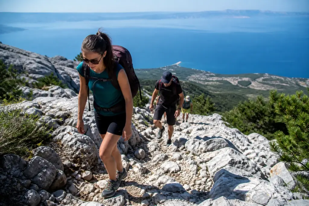 Pješačke staze i treking na Vidovoj gori