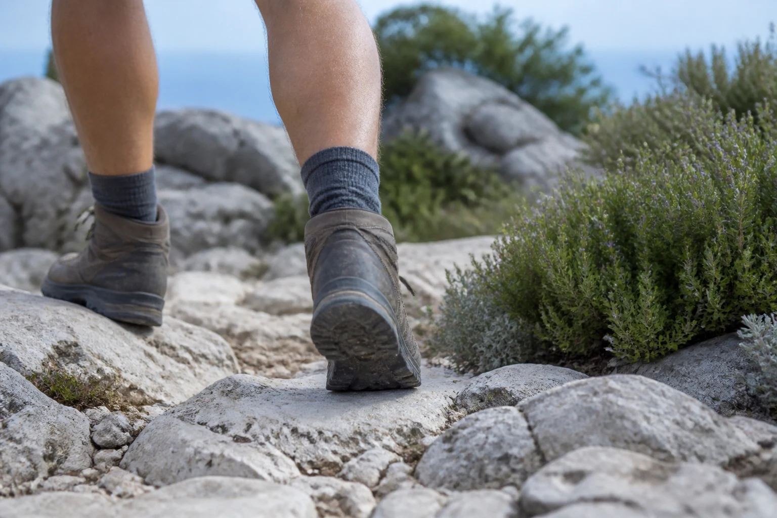 Fotografija za temu treking Vidova gora